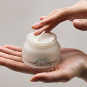 SB-3 Cream